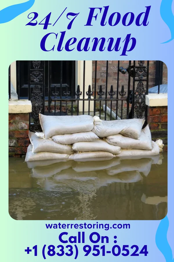 24/7 Flood Cleanup in Fort McDermitt, NV