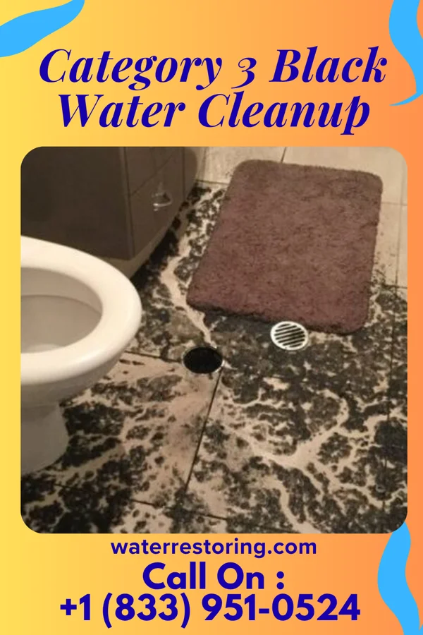 Category 3 Black Water Cleanup in Fort McDermitt, NV