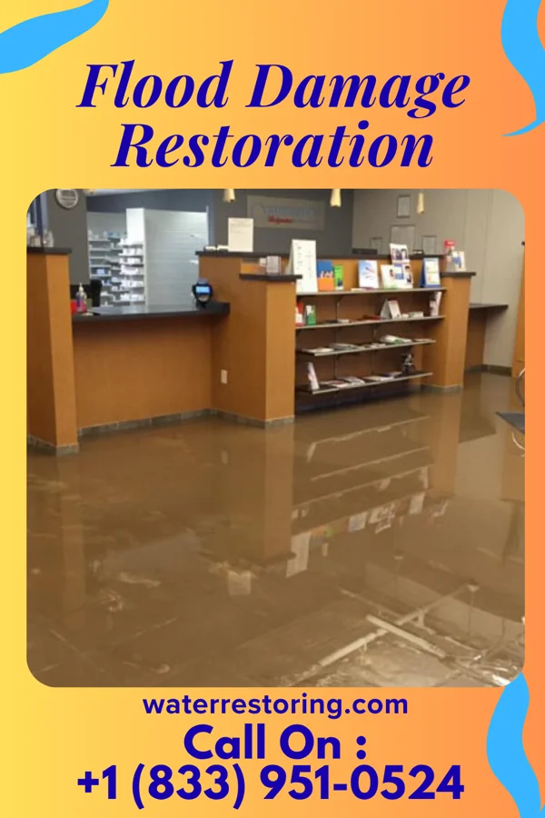 Flood Damage Restoration in Fort McDermitt, NV