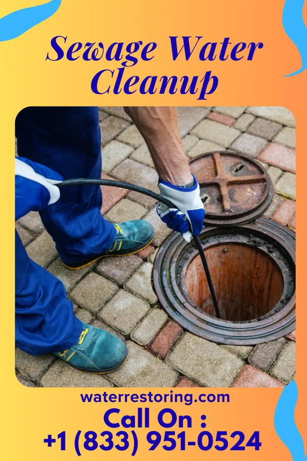 Sewage Water Cleanup in Fort McDermitt, NV